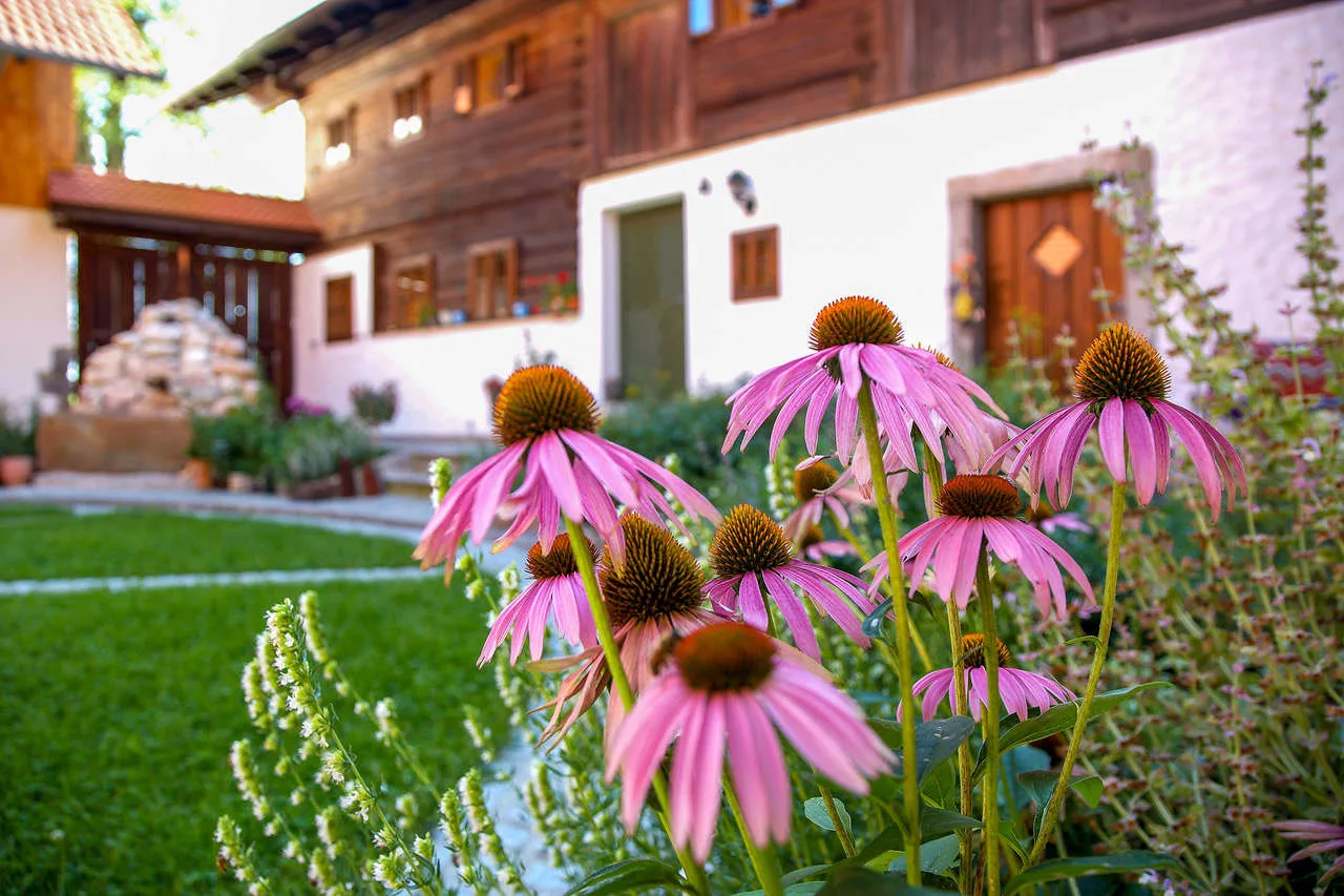 Shamana-Yoga-Retreats-Österreich-00003 Shamana Yoga Retreats Griechenland 61