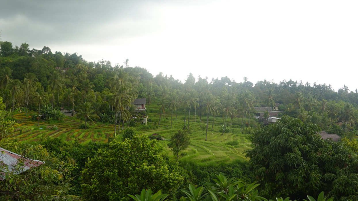 Shamana Yoga Retreats Griechenland 03